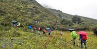 Bring an umbrella! Bhutan trekking with World Expeditions